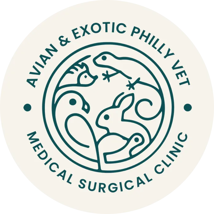 avian exotic philly vet